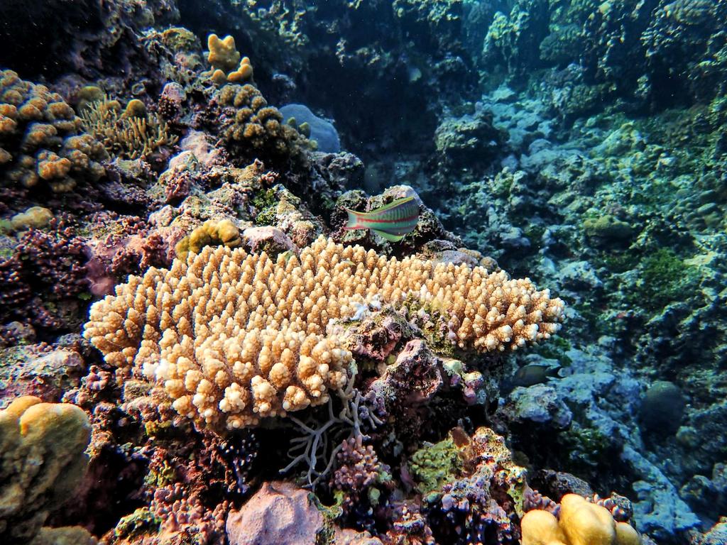Gulf of Mexico Exploration